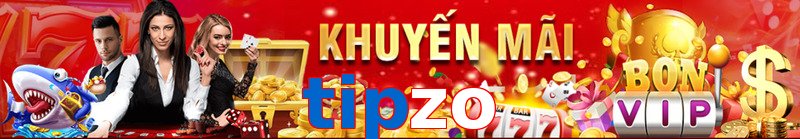 tipzo